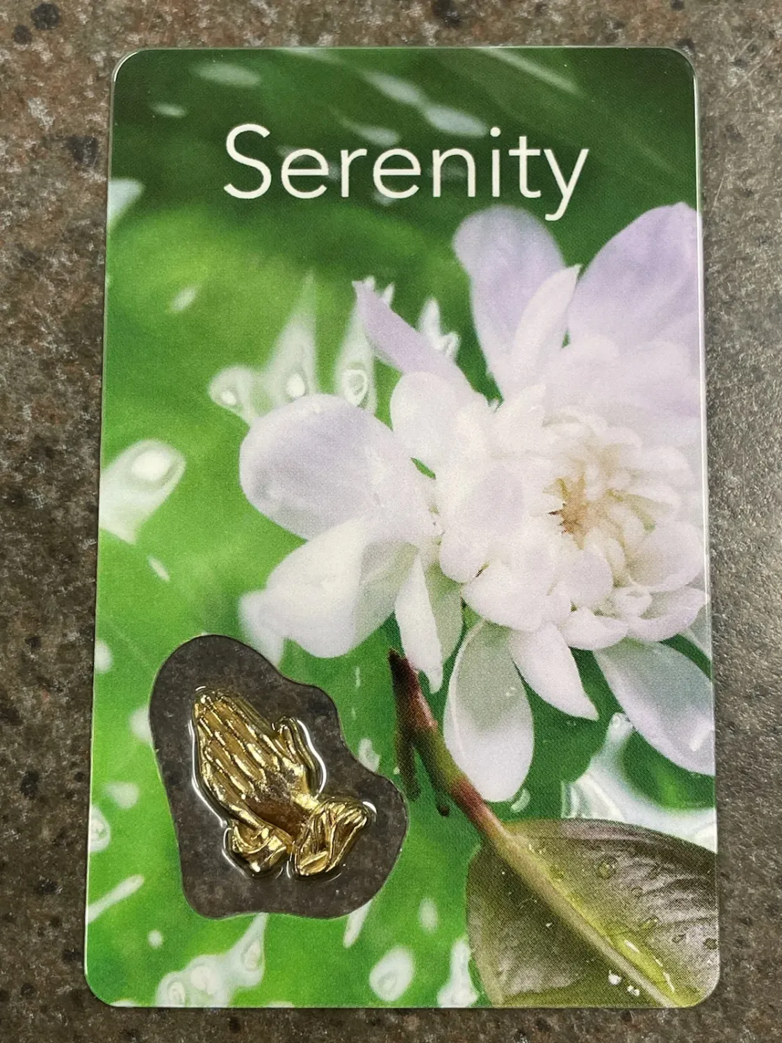 Serenity Prayer Card W/Hands