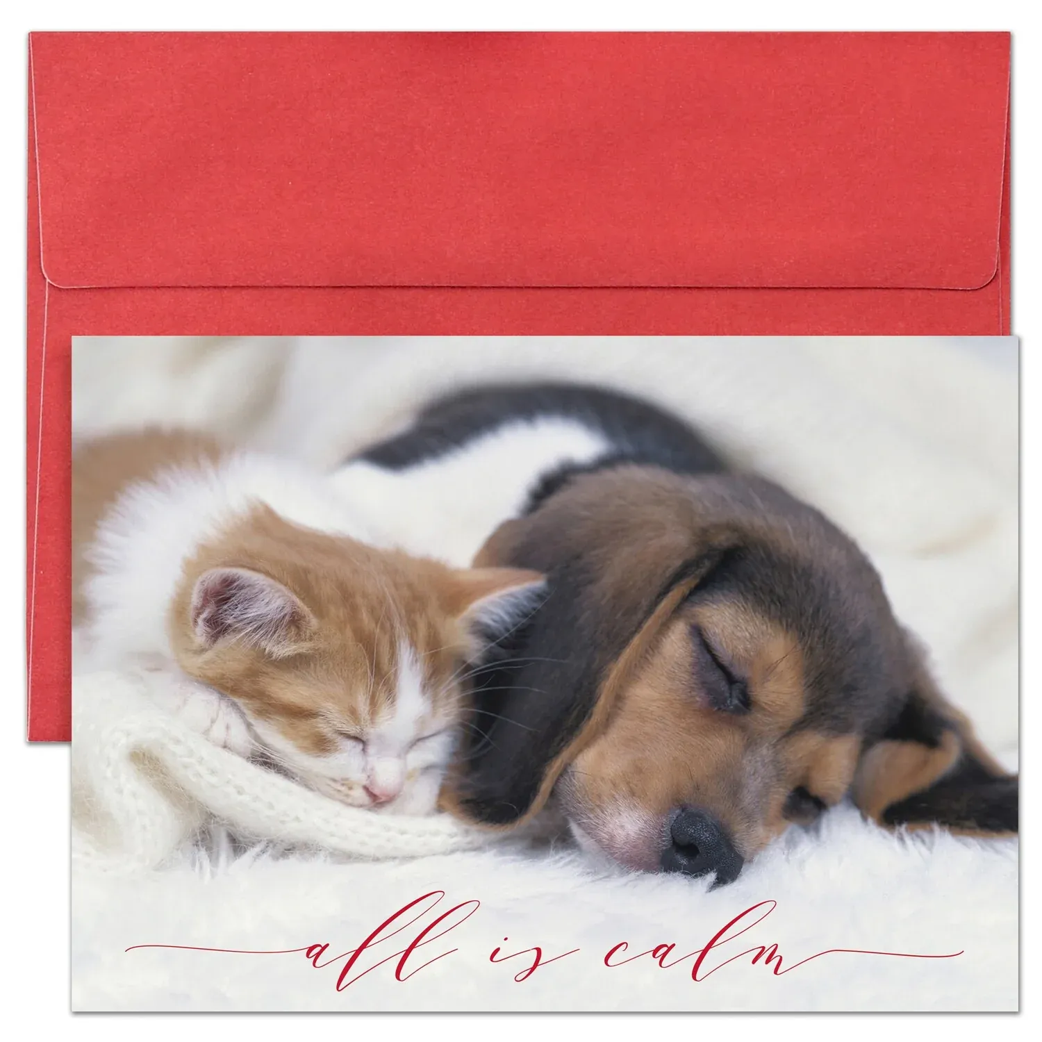 16Ct All Is Calm Boxed Cards
