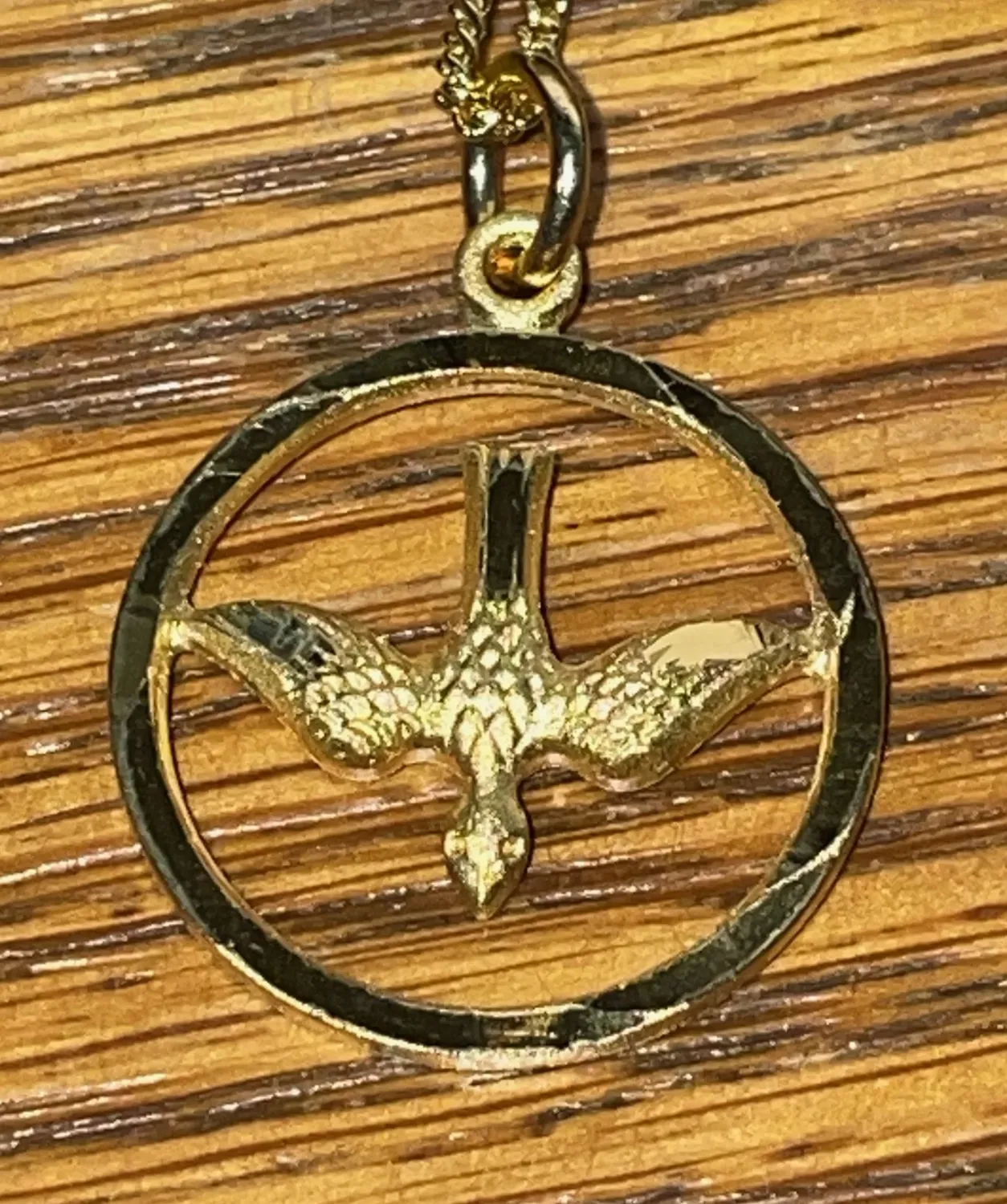 G/SS Holy Spirit In Circle 18"