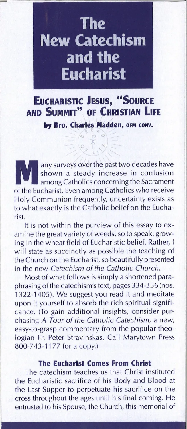 The New Catechism &amp; Eucharist 1