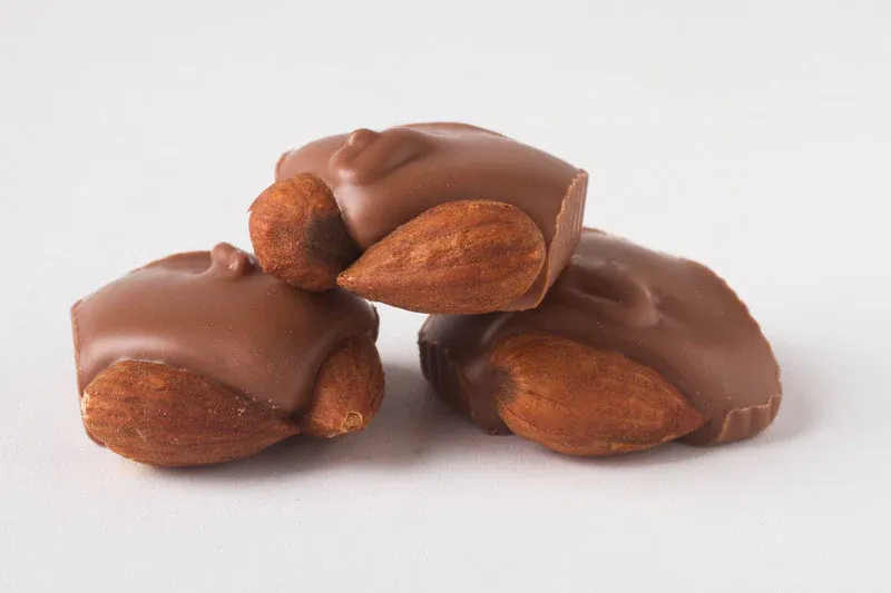 Milk Chocolate Almond Squares