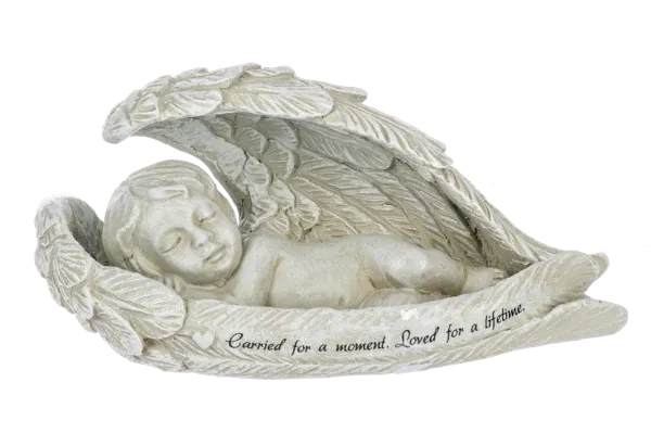 Parent of Angel Carried Loved