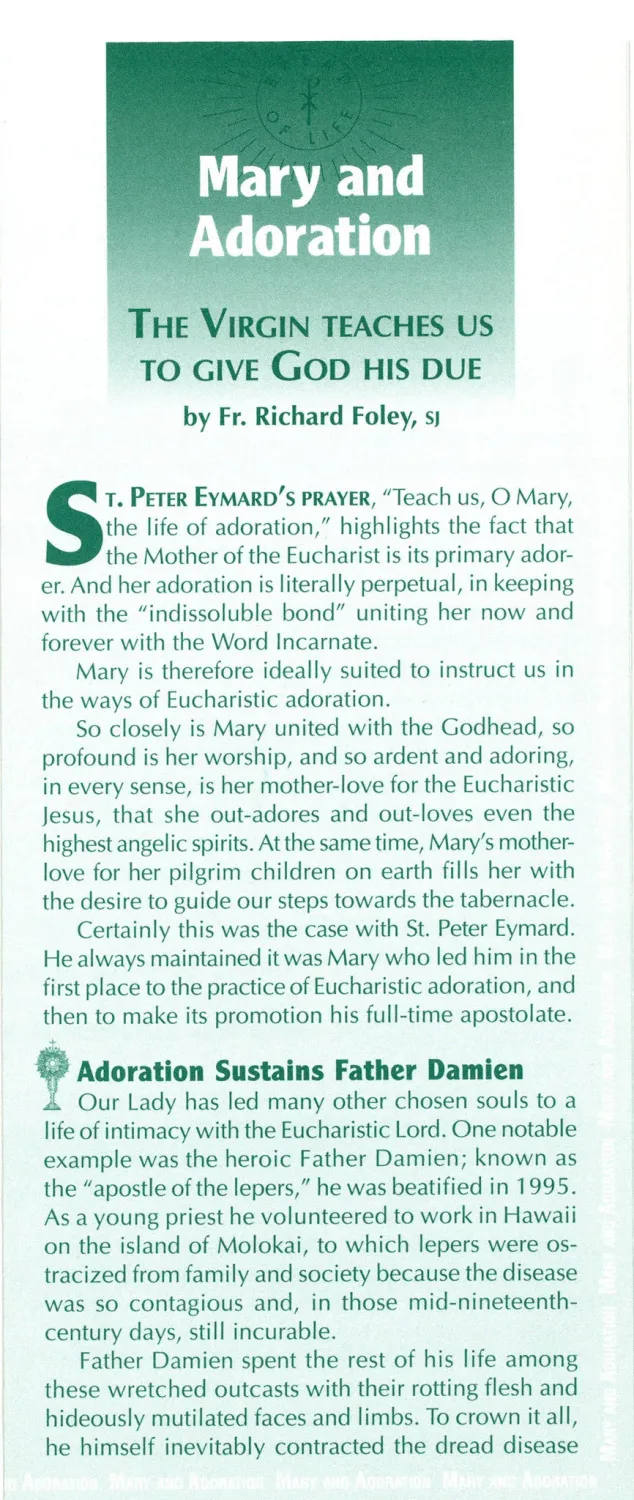 Mary And Adoration
