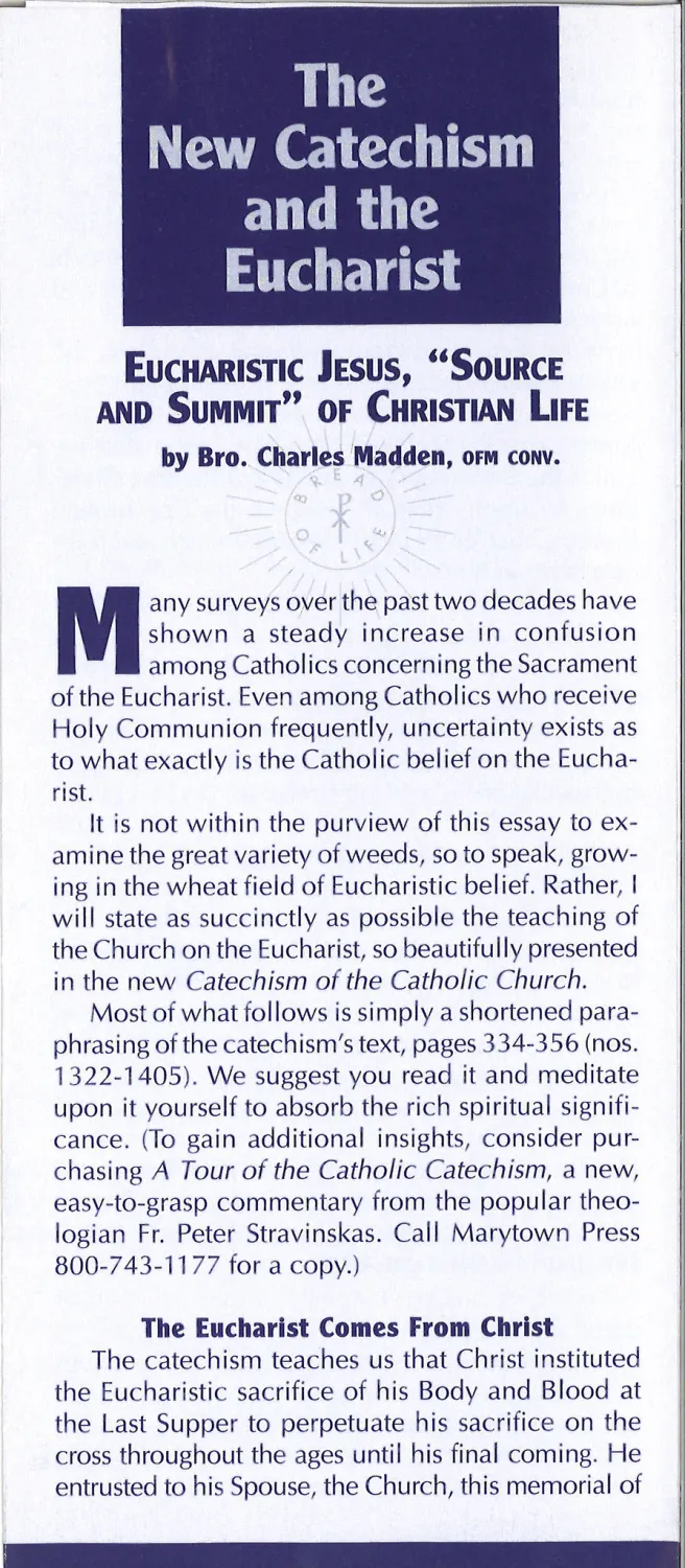 The New Catechism &amp; Eucharist 2
