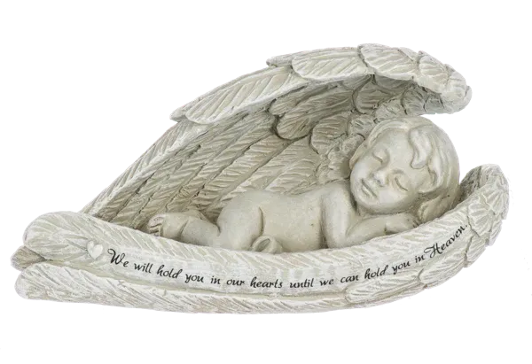 Parent of Angel Will Hold You