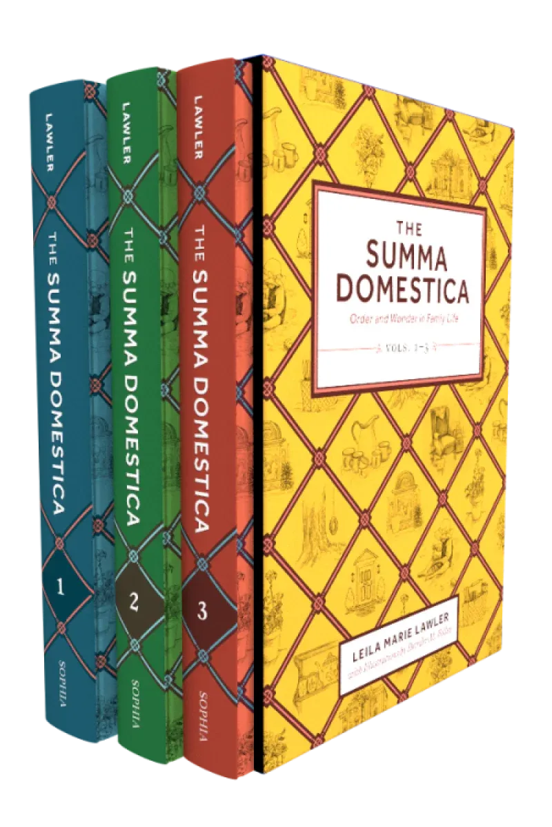 Summa Domestica 3 Volume Set