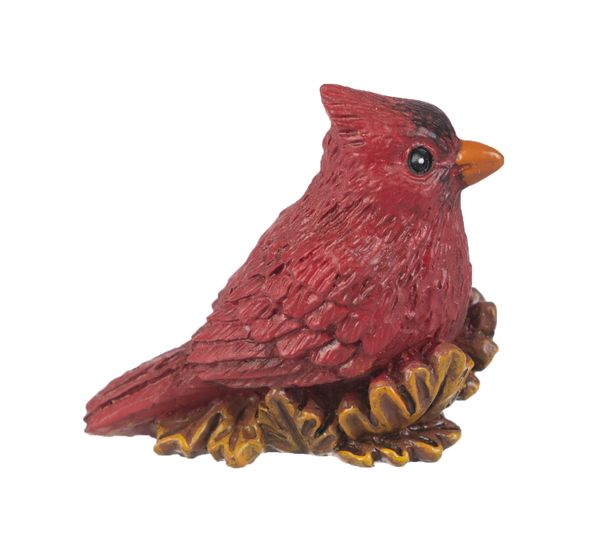 Blessings Cardinal On Leaves