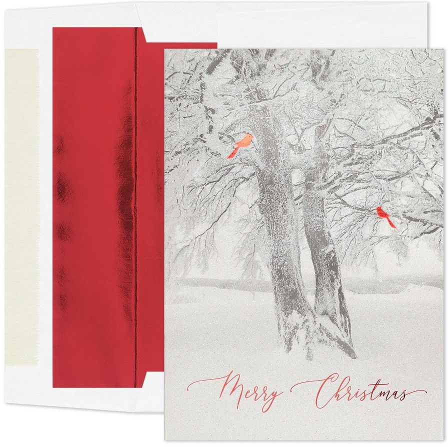 15Ct Cardinal Tree Box