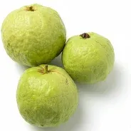 Fresh Fruits