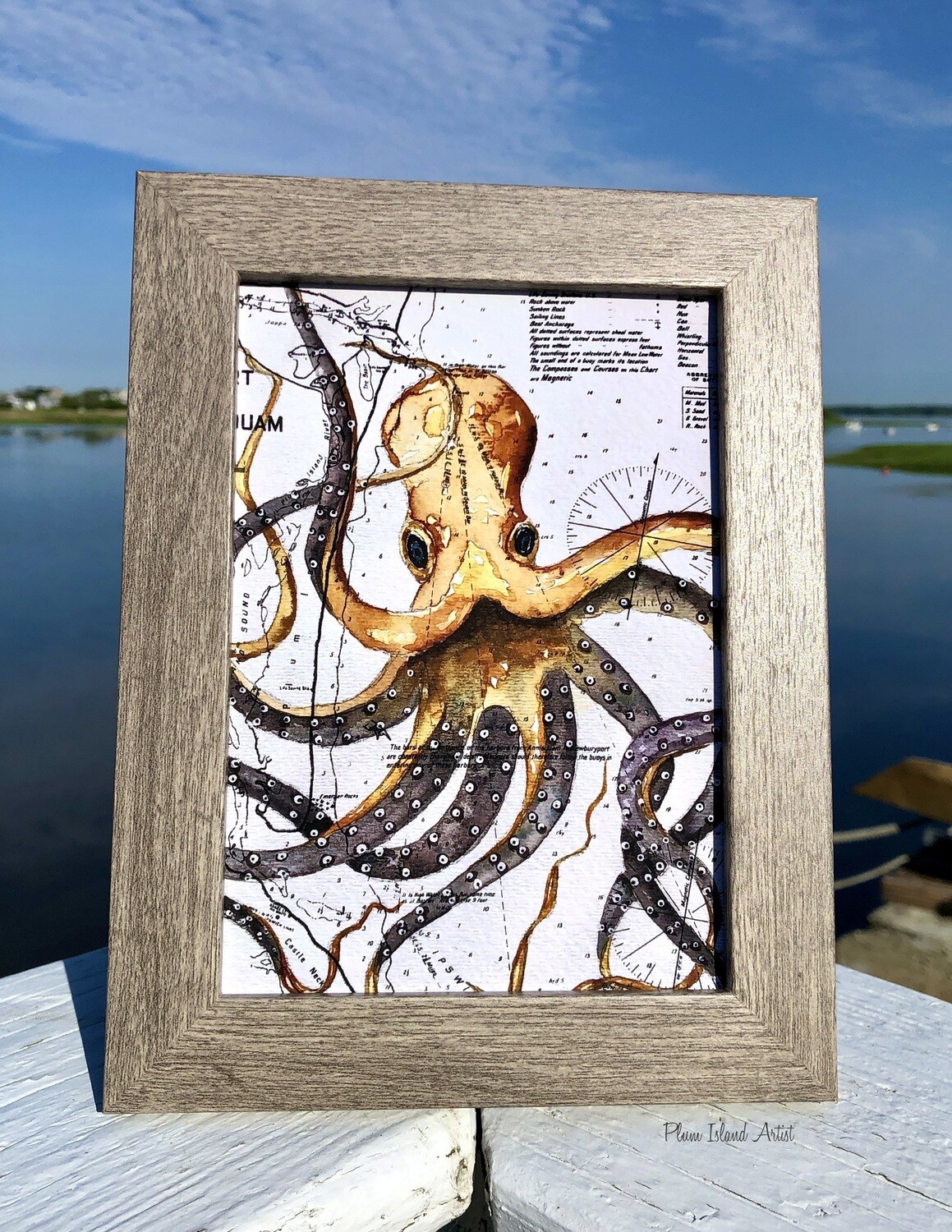 Framed Giclee print Octopus