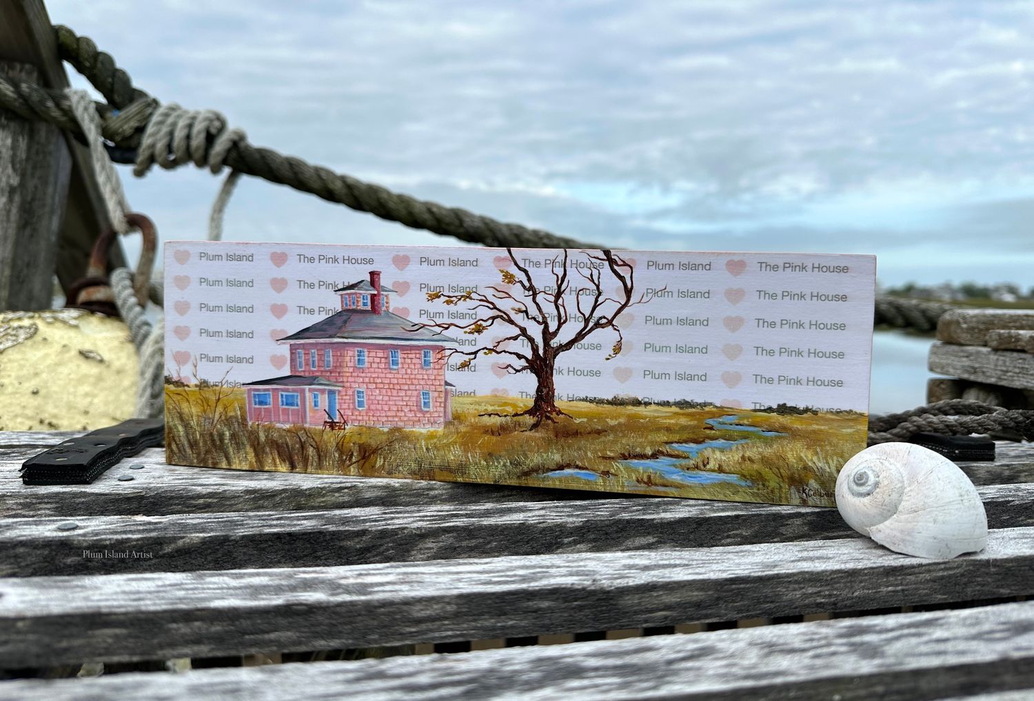 #10 The Pink House 4x12
