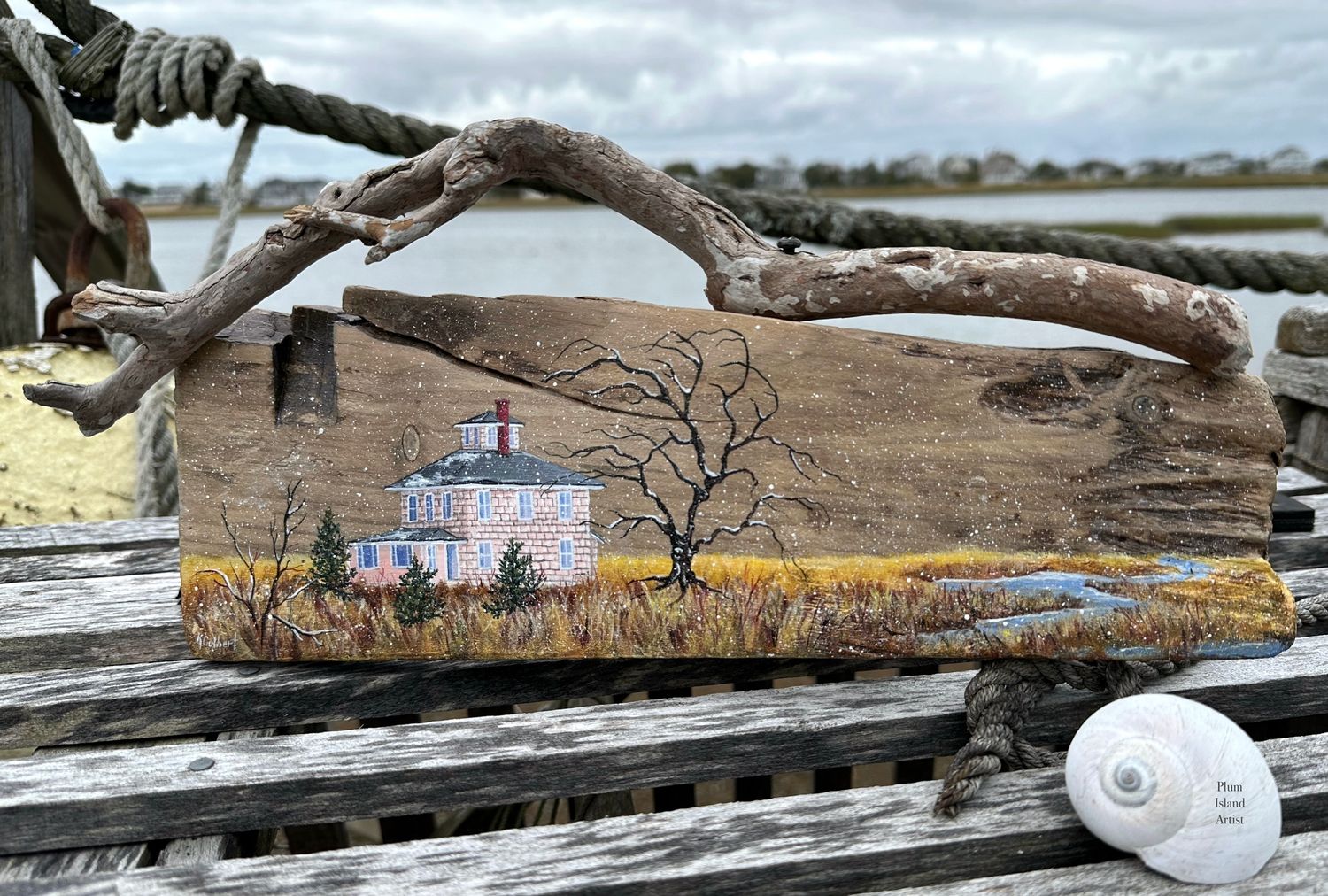 #11 The Pink House Driftwood