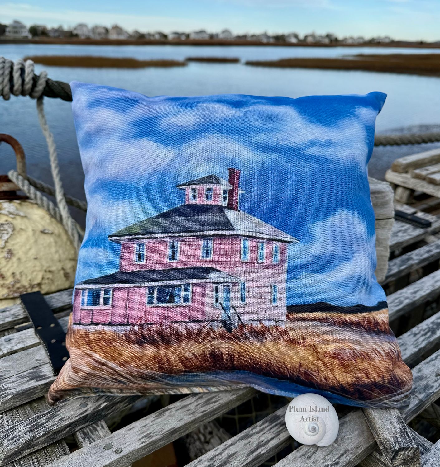 Pillow Pink House