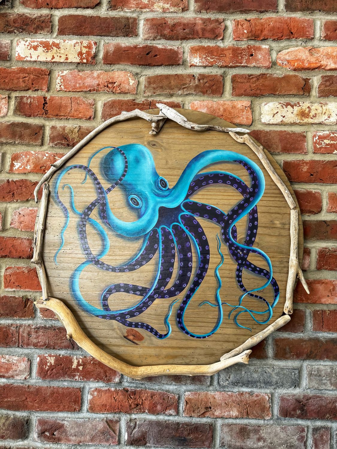#6 Large Circle Octopus 23 1/2&quot;