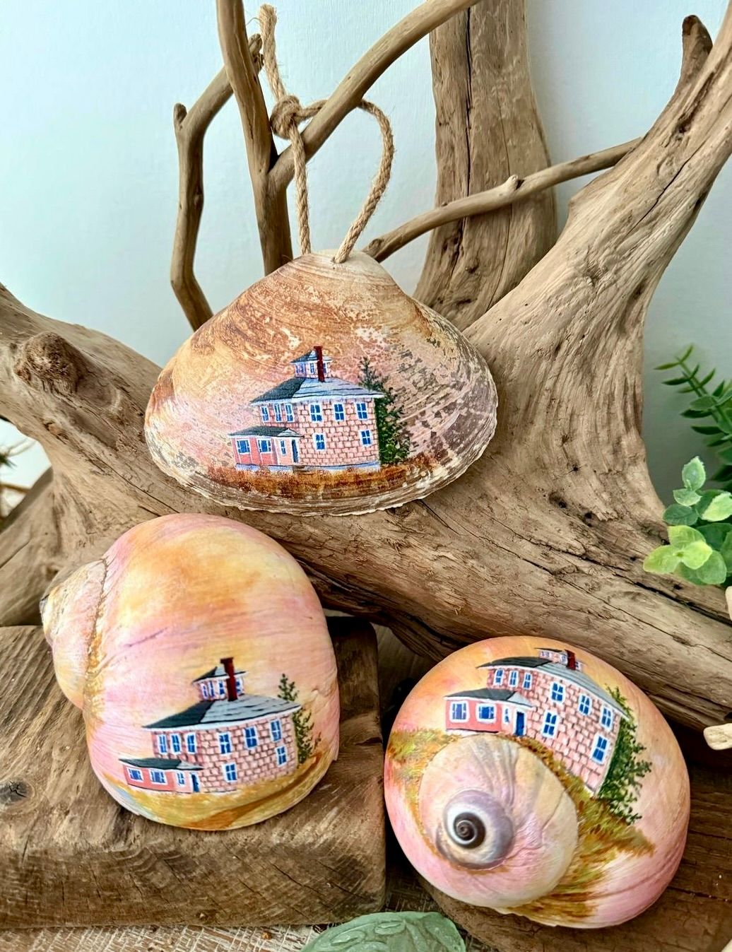 Hand painted Shells- Sunset The Pink House