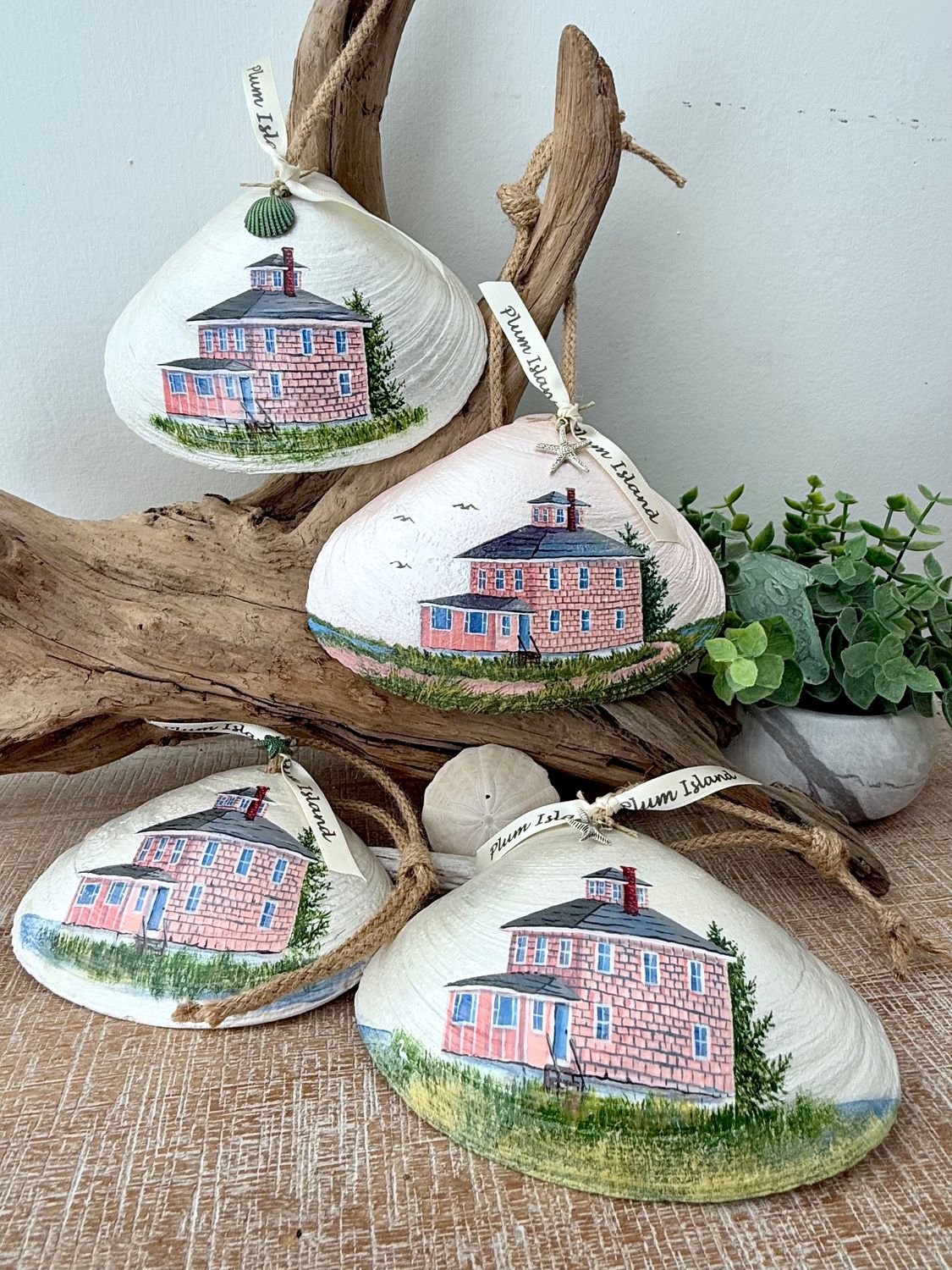 Extra large Hand painted Shells- Pink House