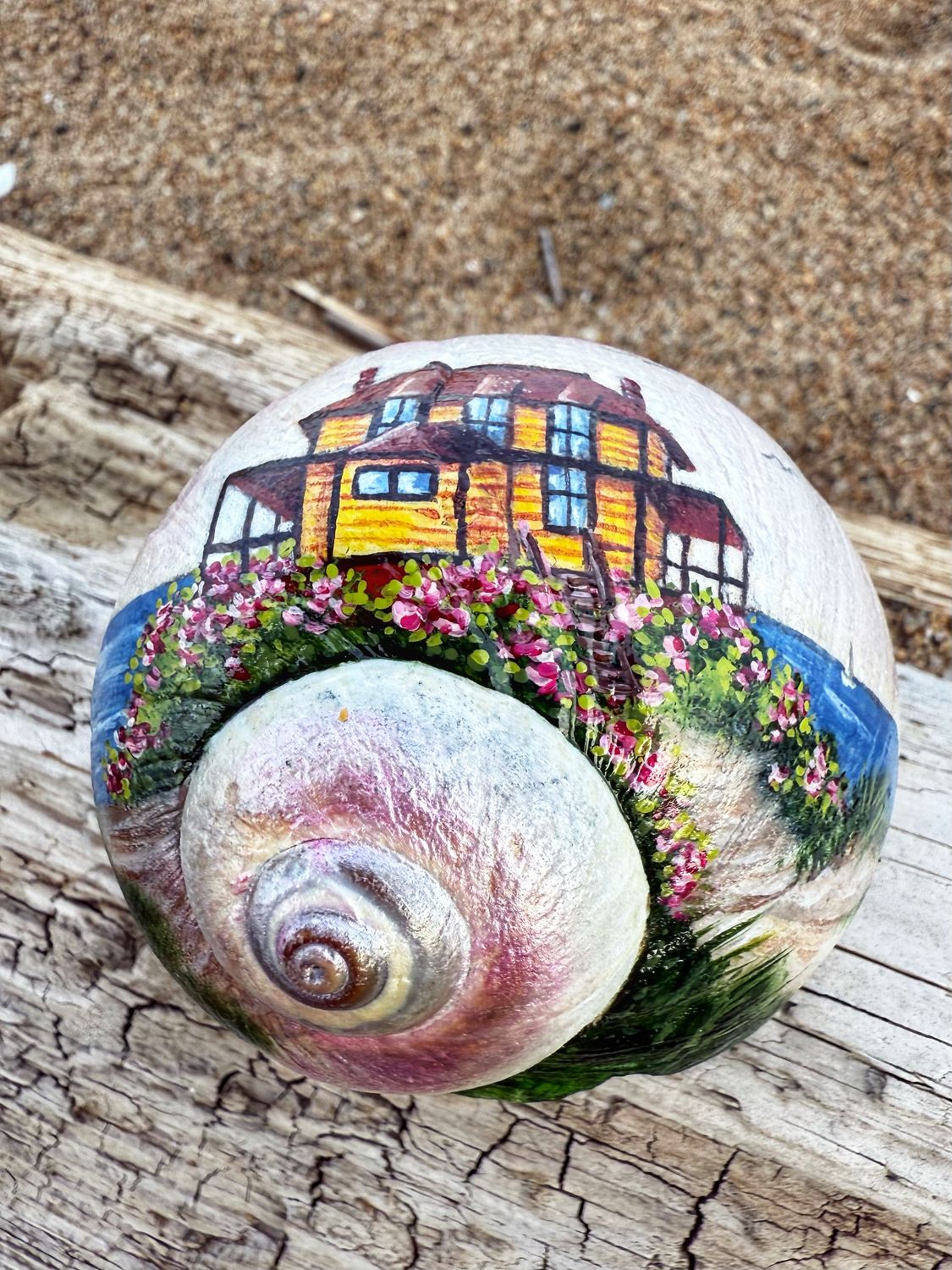 Hand painted Moon Snail~ Bennett Hill