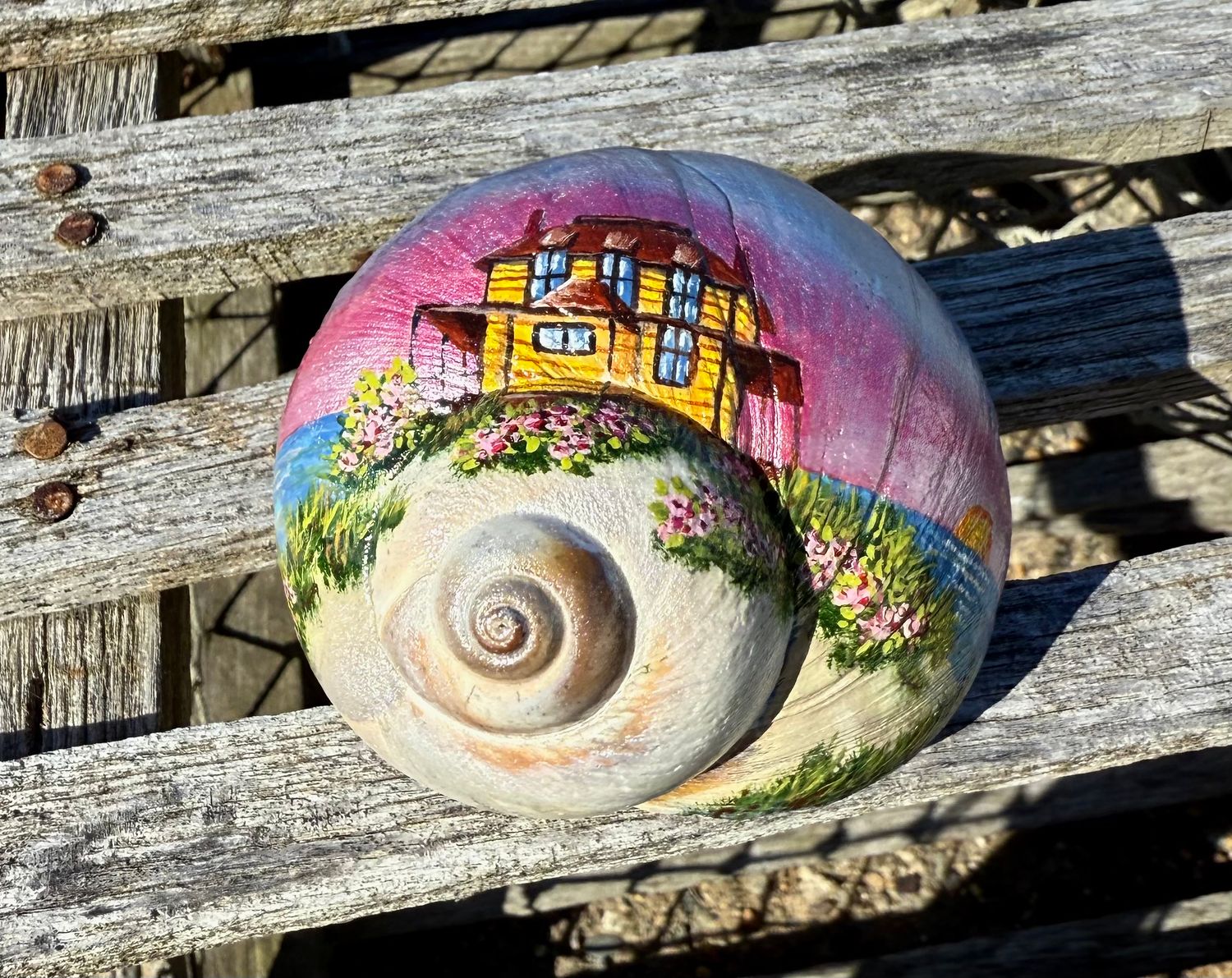 Hand painted Moon snail~ Sunrise Bennett Hill