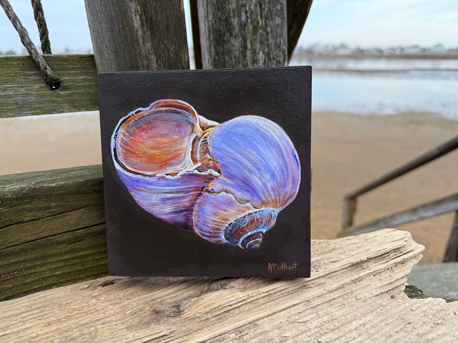 5x5 Moon snail painting #2
