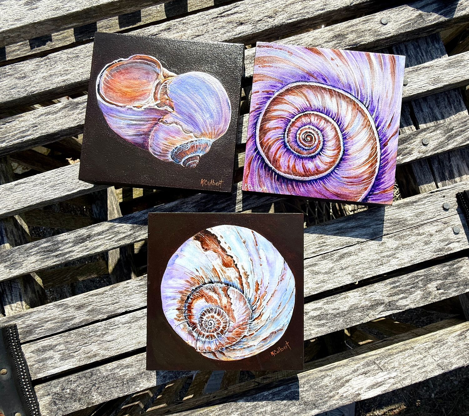 5x5 Moon snail paintings  $45 each