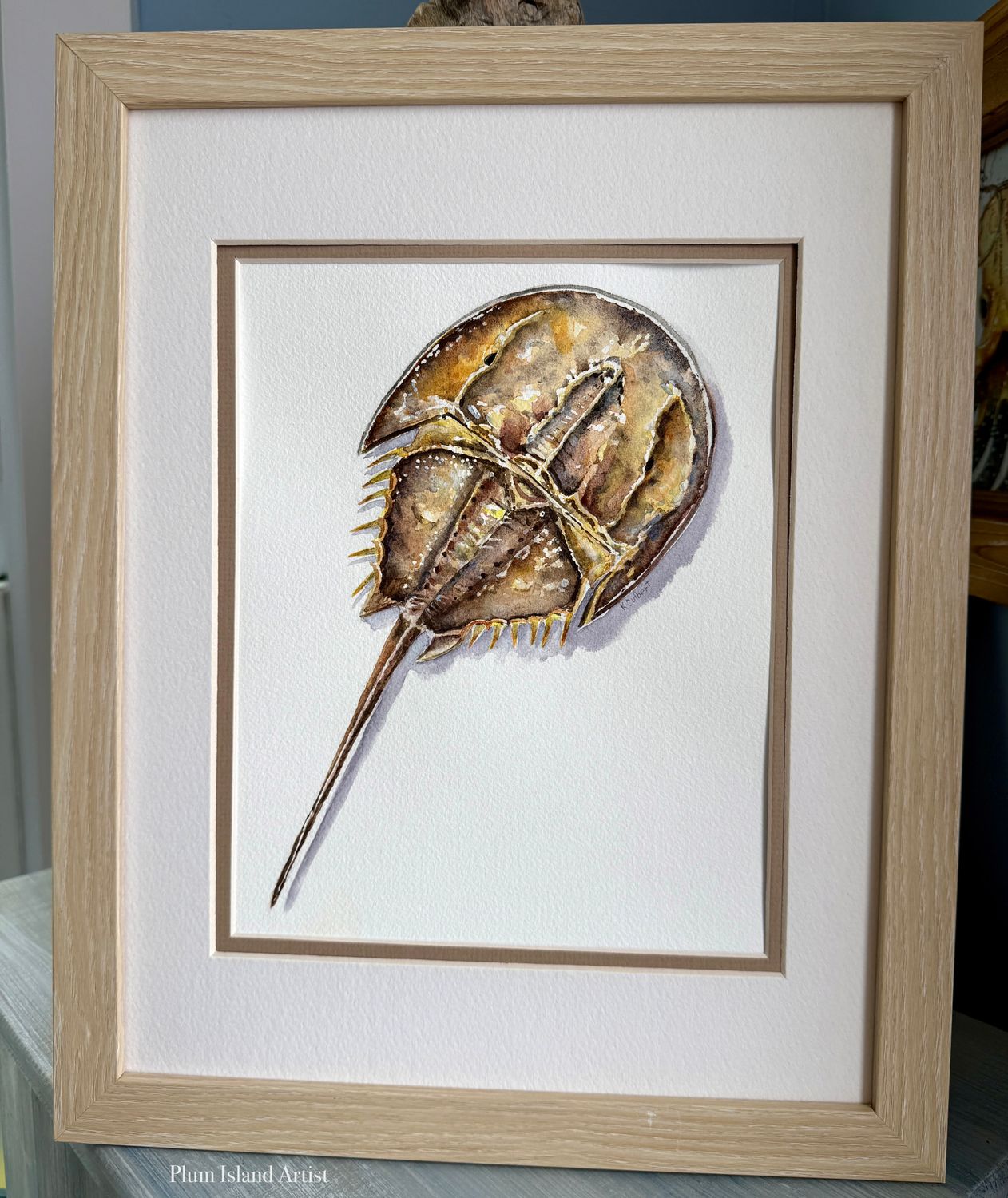 Horseshoe crab original watercolor painting