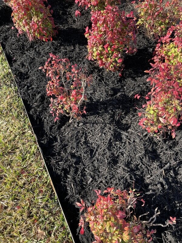 Each Cubic Yard of Mulch (Black)