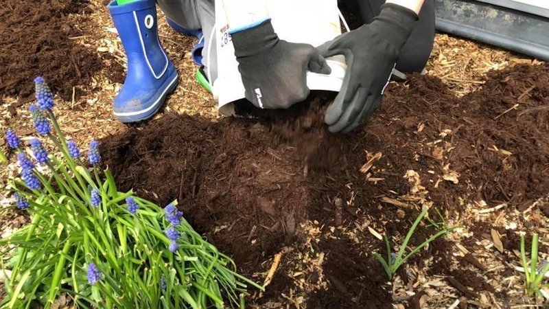 Each Cubic Yard of Mulch (Brown)