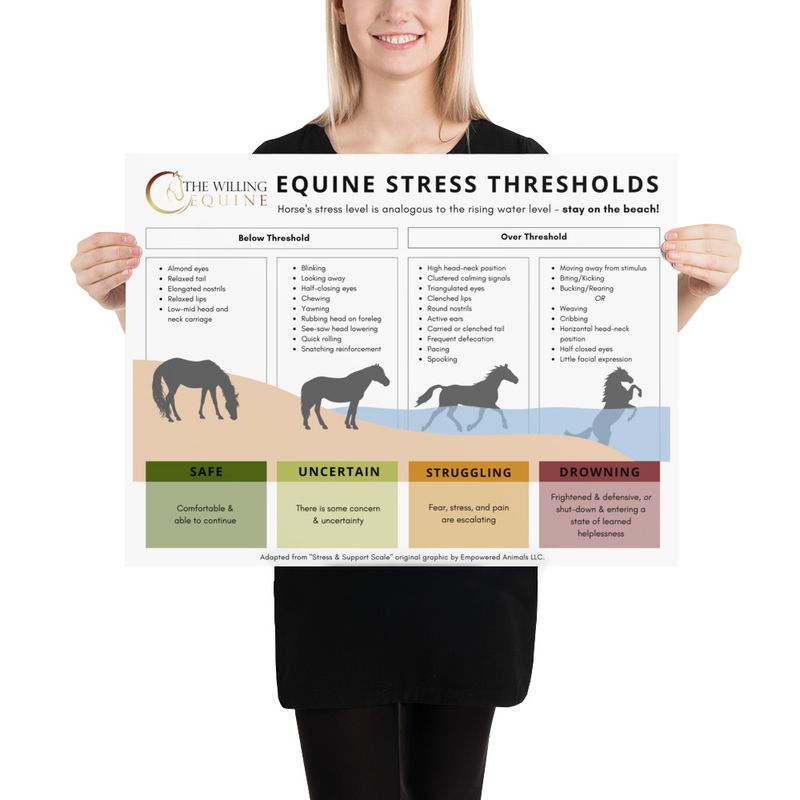TWE Stress Scale