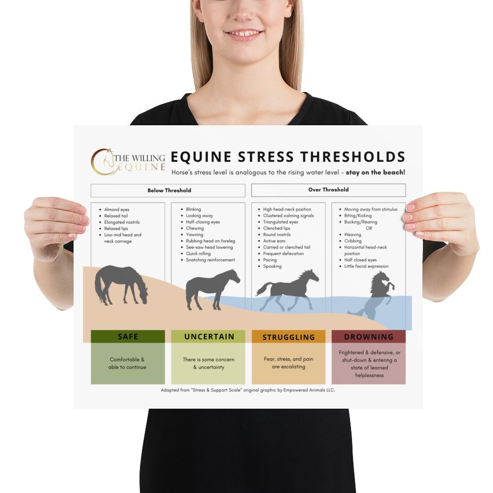 TWE Stress Scale