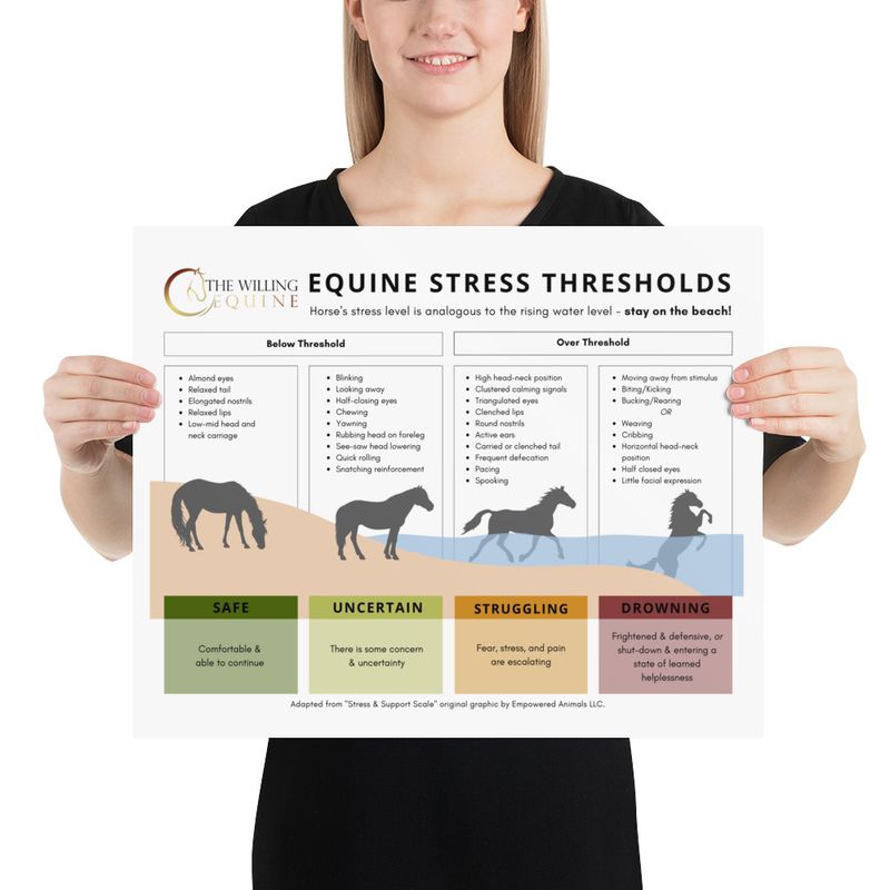 TWE Stress Scale