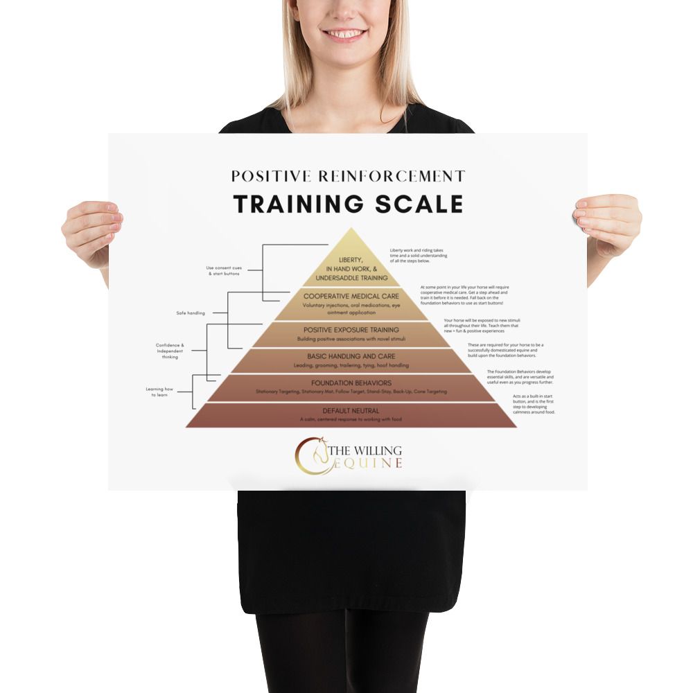 TWE Training Scale