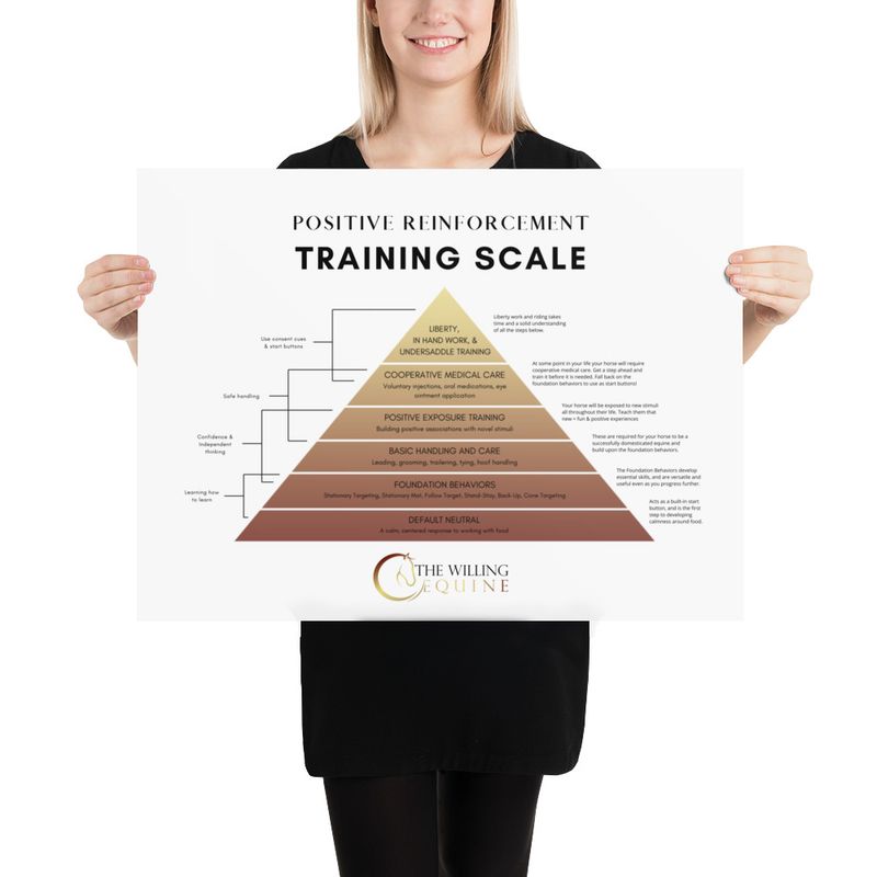 TWE Training Scale