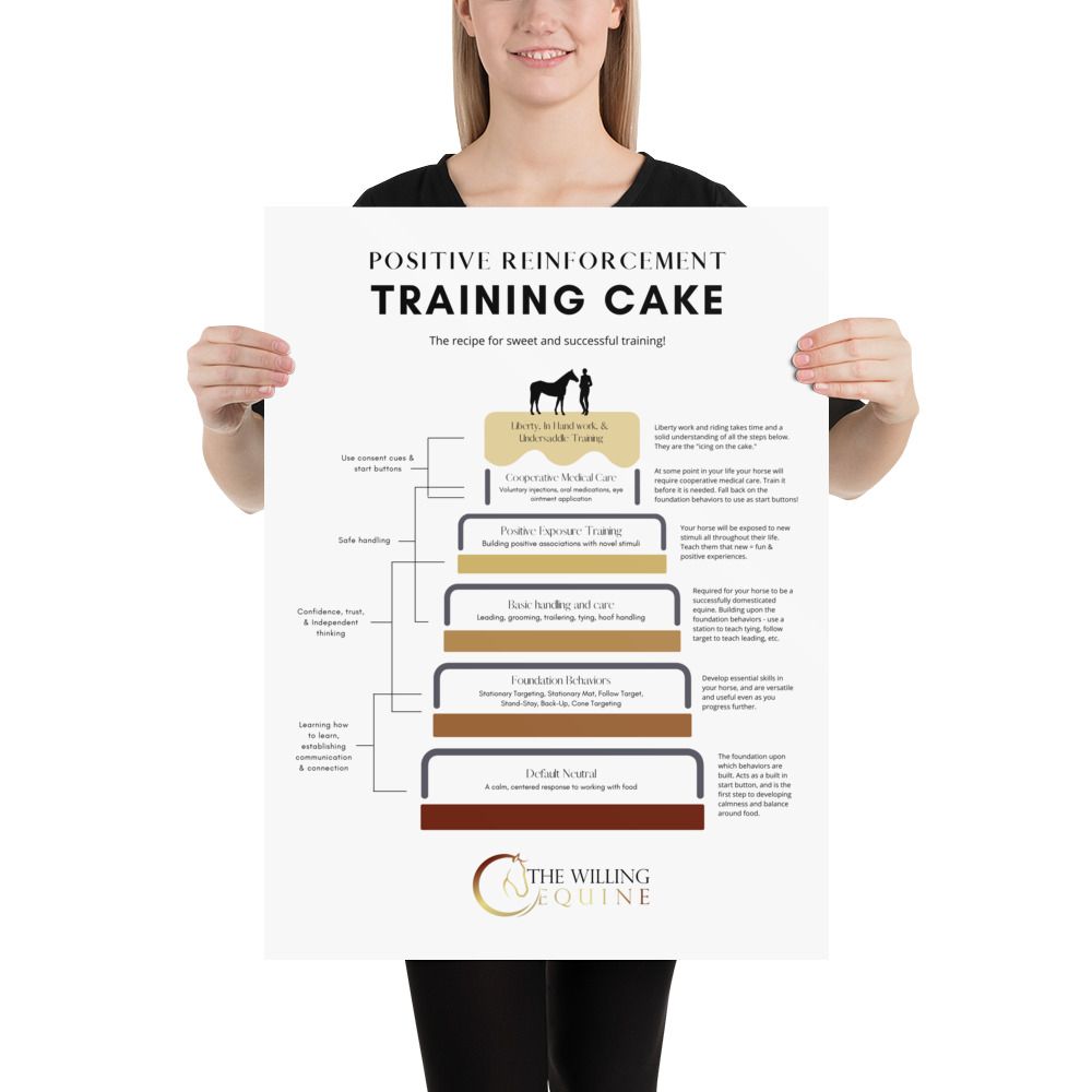 TWE Training Cake