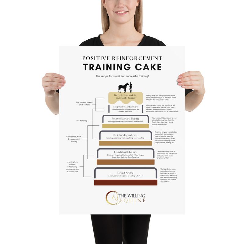 TWE Training Cake