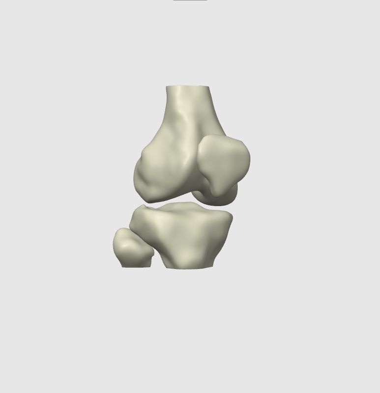 I - Knie