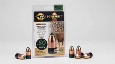 MUZZLELOADER BULLETS