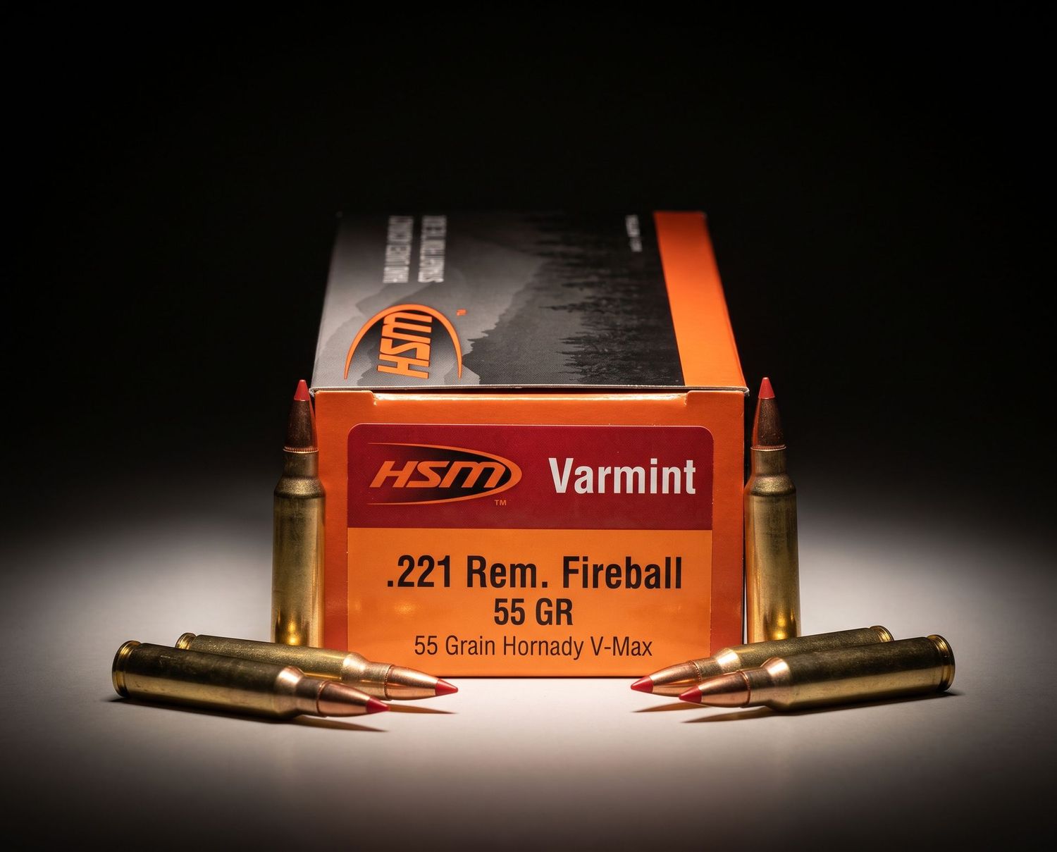 HSM 221 REM FIREBALL 55GR
