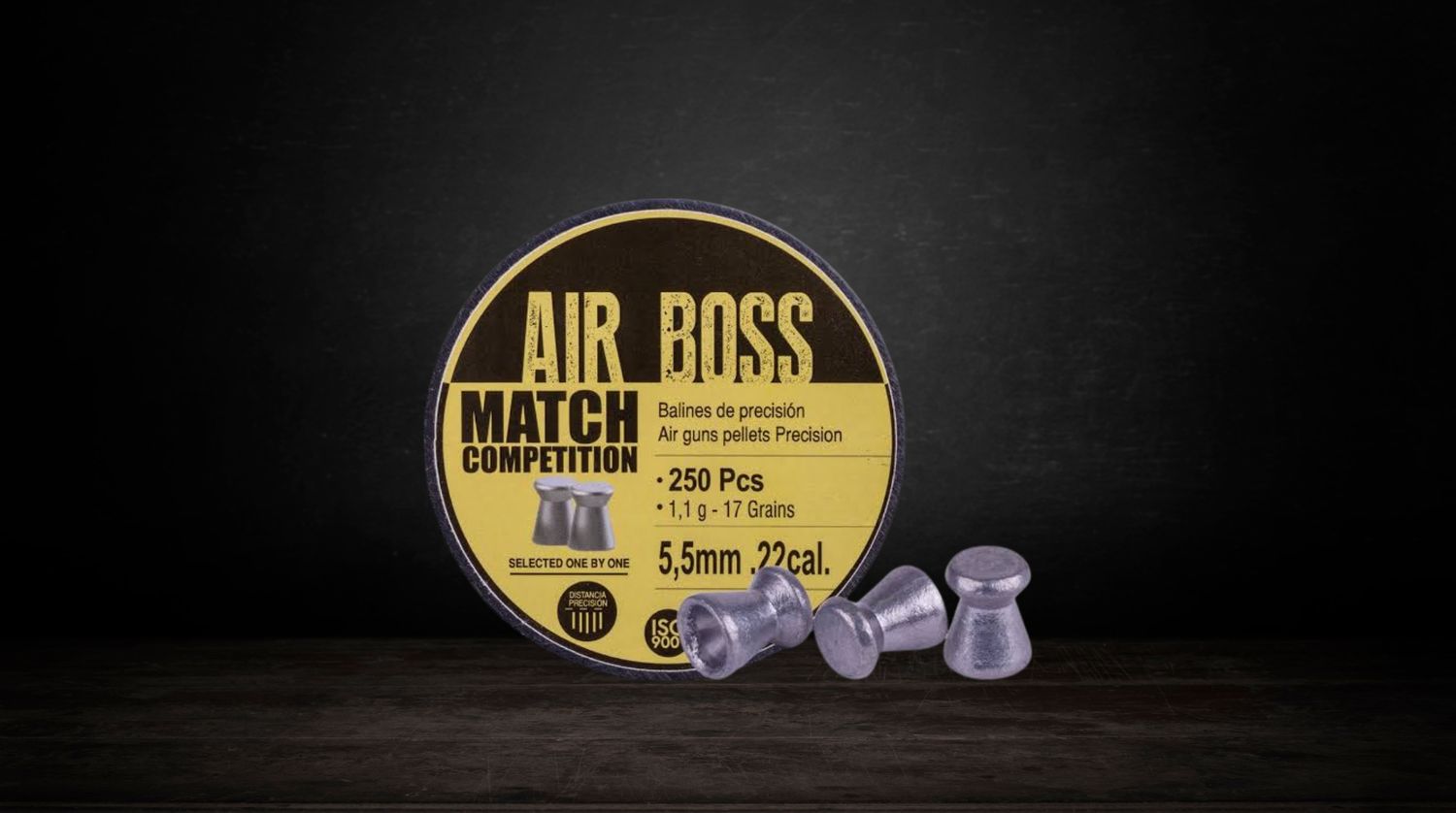 HATSAN APOLO 22 AIR BOSS