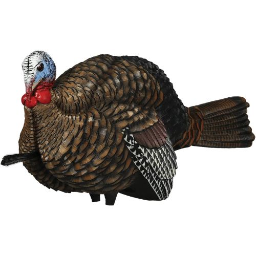 AVIAN X LCD 1/2 STRUT JAKE