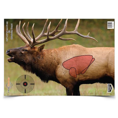 B/C TARGET PREGAME 16.5"X24"