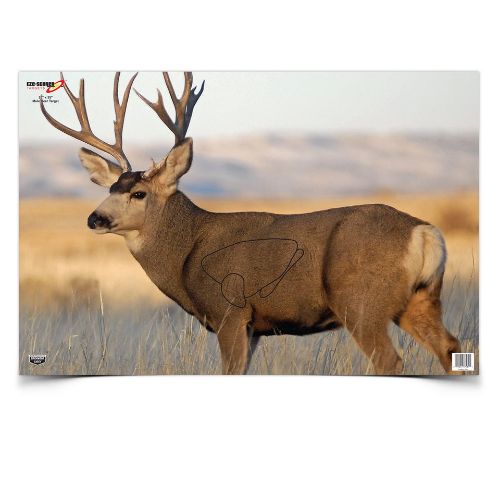 B/C TARGET EZE-SCORER 23"X35"