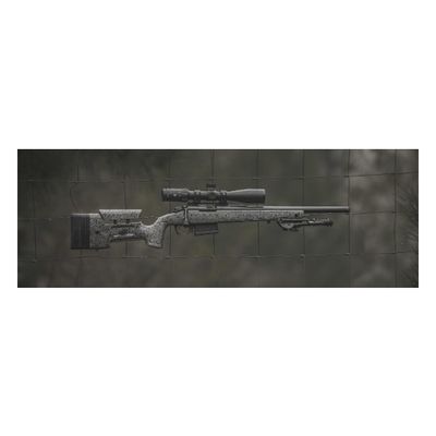 BERGARA B14R TRAINER 17HMR