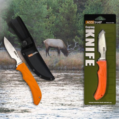 ACCUSHARP CAPING KNIFE 3"