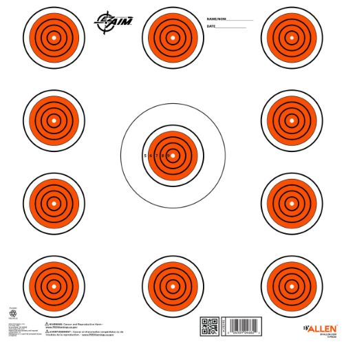 ALLEN EZ AIM 11 SPOT TARGET