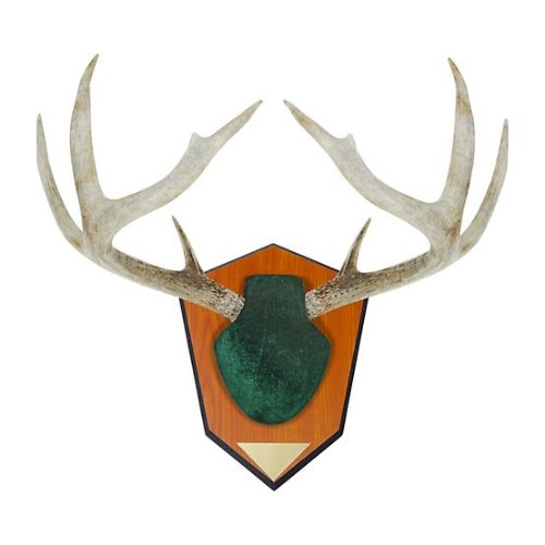 ALLEN ANTLER MOUNTING KIT