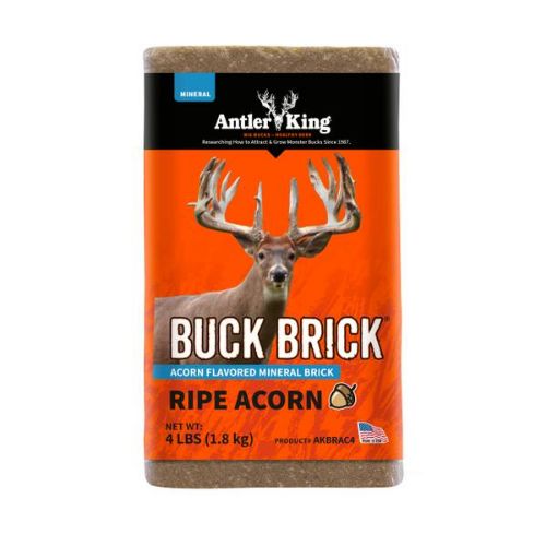 ANTLER KING SWEET APPLE BUCK