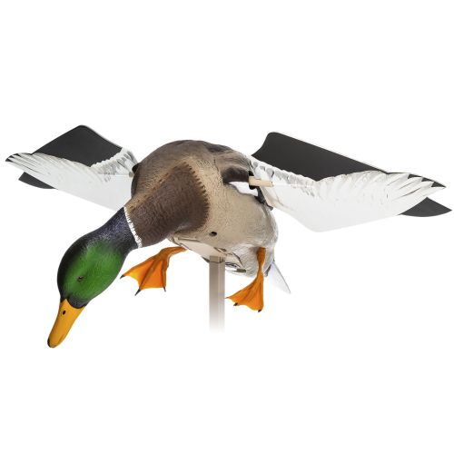 AVIAN X POWERFLIGHT SMART