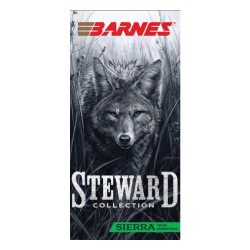 BARNES STEWARD 204 RUGER 36GR