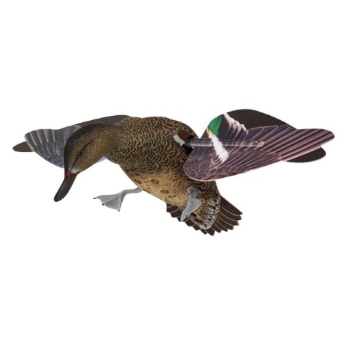 AVIAN X POWERFLIGHT SPINNING