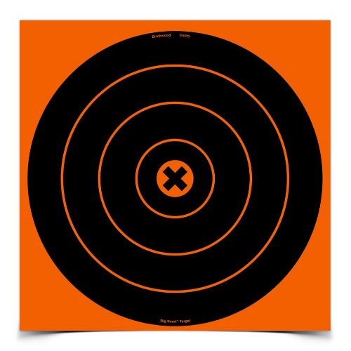 B/C BIG BURST TARGET 12"-3